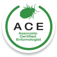 ACE logo